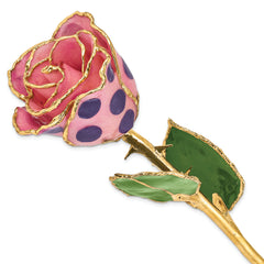 Lacquer Dipped Gold Trimmed Pink and Purple Dots Real Rose - Sophia Jewelers