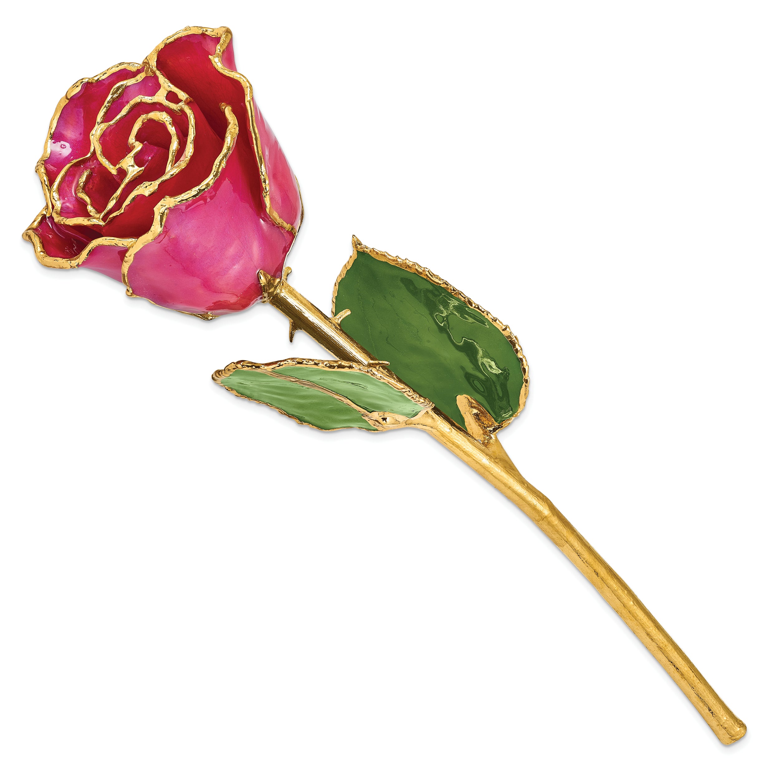 Lacquer Dipped Gold Trimmed Plum Fuchsia Real Rose - Sophia Jewelers