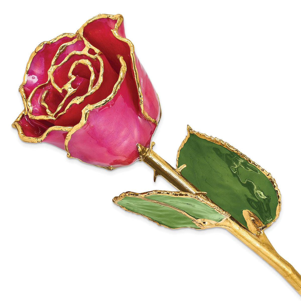 Lacquer Dipped Gold Trimmed Plum Fuchsia Real Rose - Sophia Jewelers