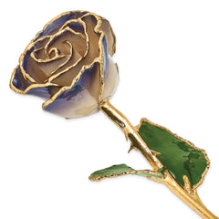 Lacquer Dipped 24k Gold Trimmed White/Twilight Pearl Real Rose - Sophia Jewelers