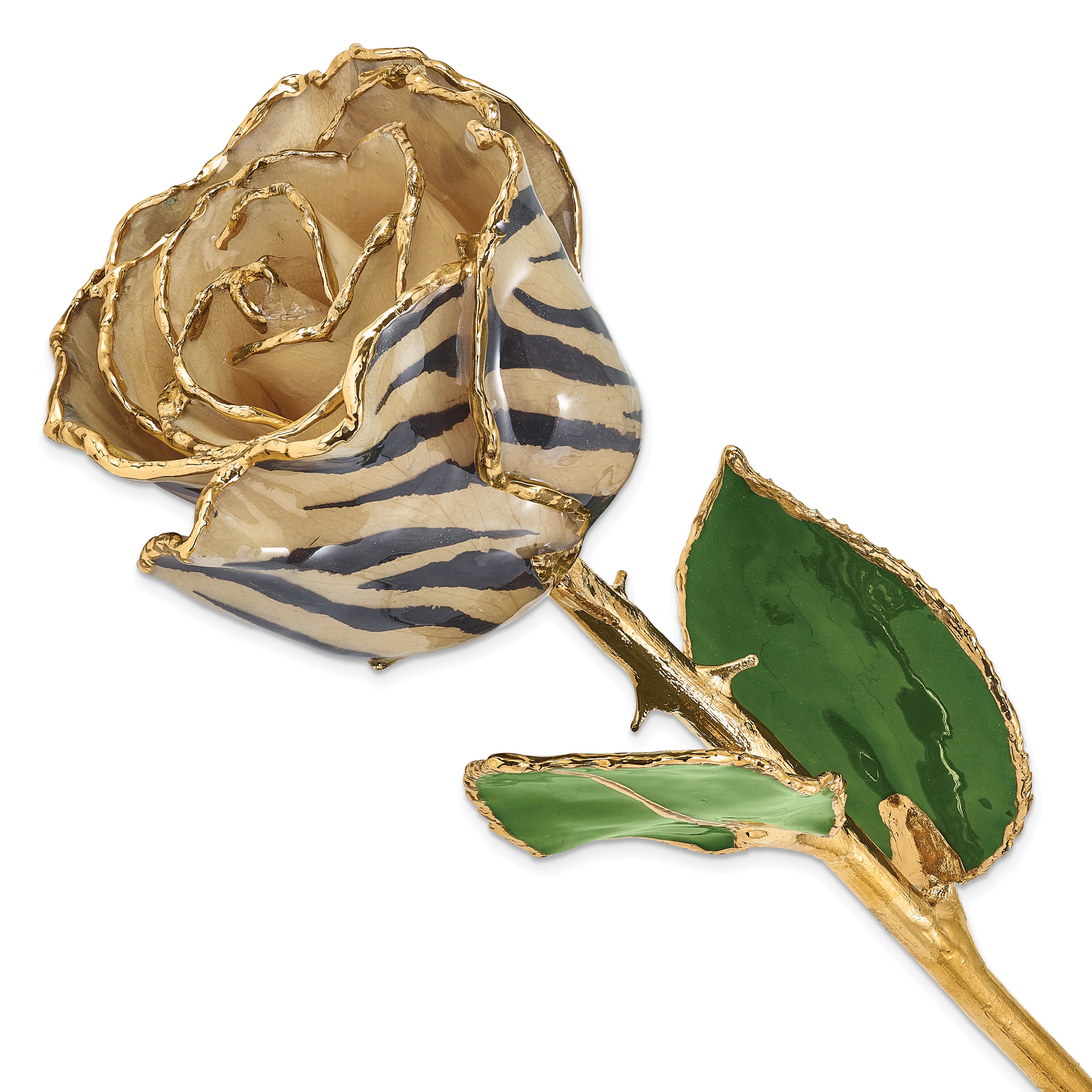 Lacquer Dipped 24k Gold Trimmed Cream/Black Zebra Real Rose - Sophia Jewelers