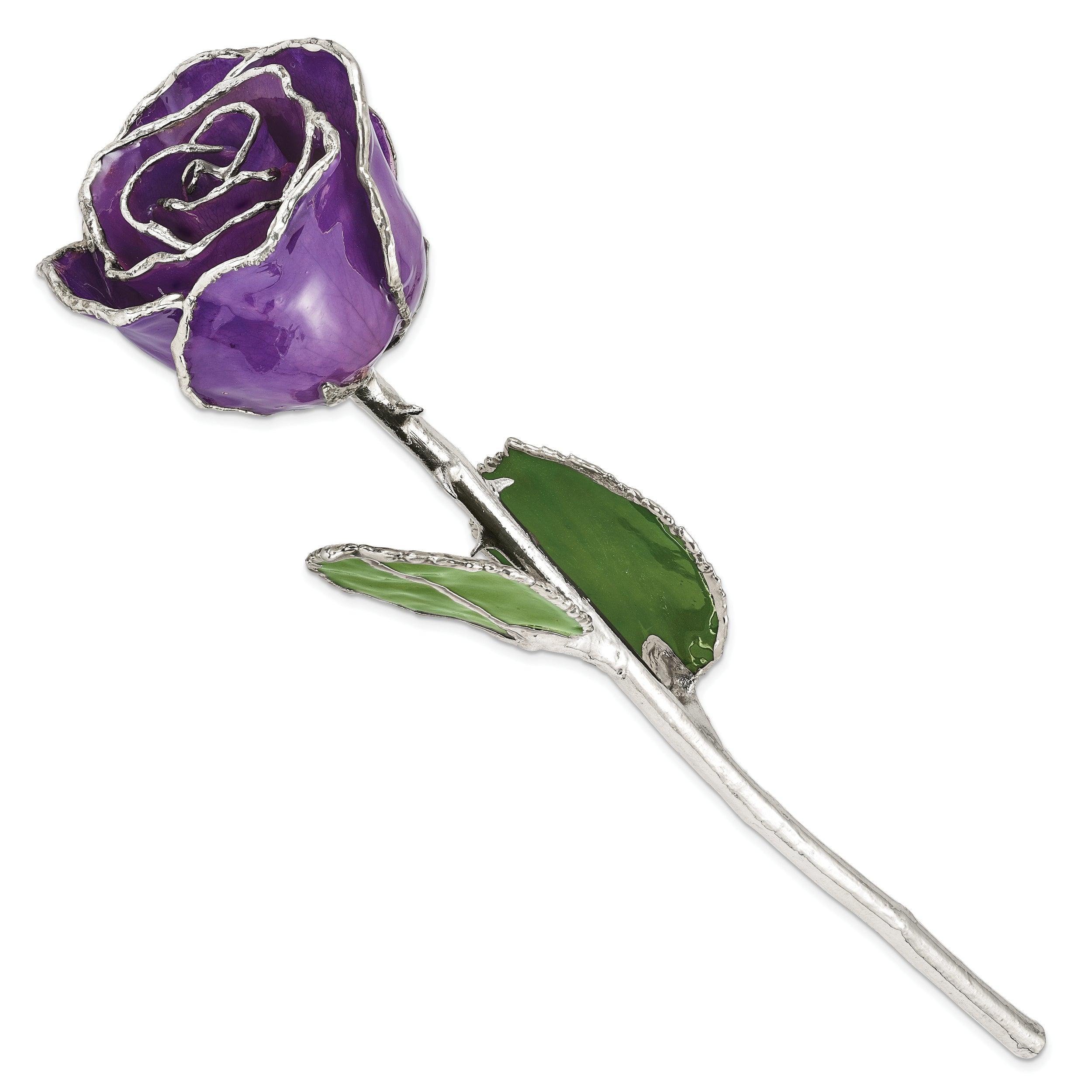 Lilac Lacquer Dipped Silver Trimmed Real Rose - Sophia Jewelers