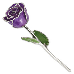 Lilac Lacquer Dipped Silver Trimmed Real Rose - Sophia Jewelers