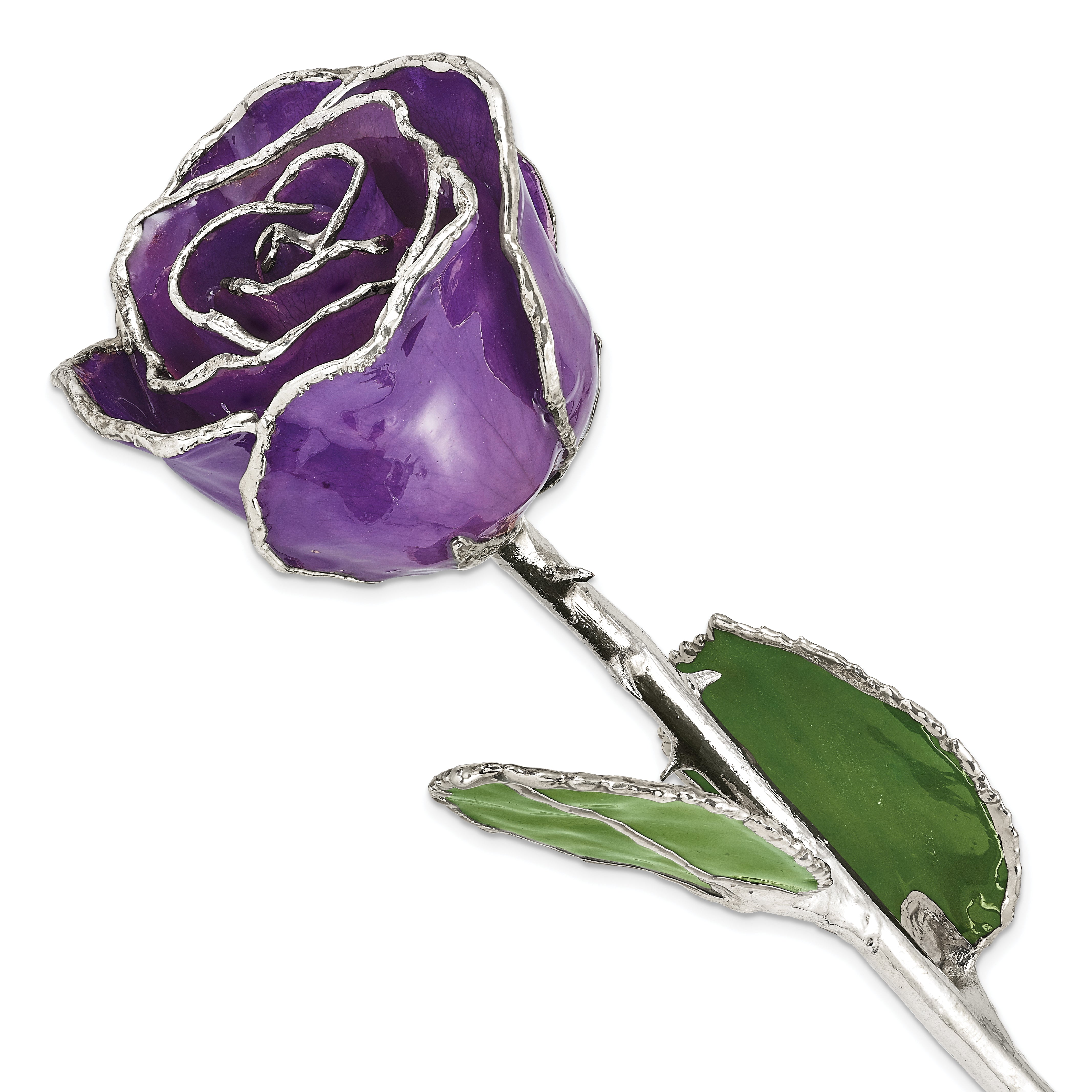 Lilac Lacquer Dipped Silver Trimmed Real Rose - Sophia Jewelers