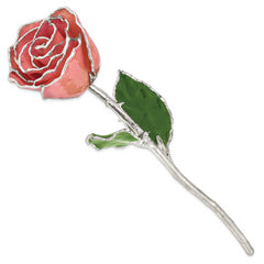 Pink Lacquer Dipped Silver Trimmed Real Rose - Sophia Jewelers