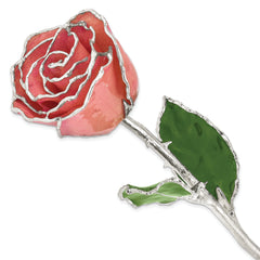 Pink Lacquer Dipped Silver Trimmed Real Rose - Sophia Jewelers