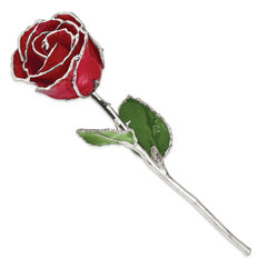 Red Lacquer Dipped Silver Trimmed Real Rose - Sophia Jewelers