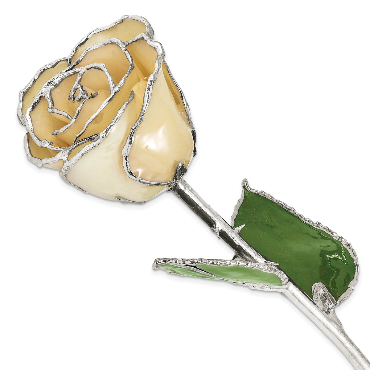 White Lacquer Dipped Silver Trimmed Real Rose - Sophia Jewelers