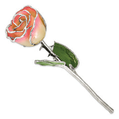 White/Pink Lacquer Dipped Silver Trimmed Real Rose - Sophia Jewelers