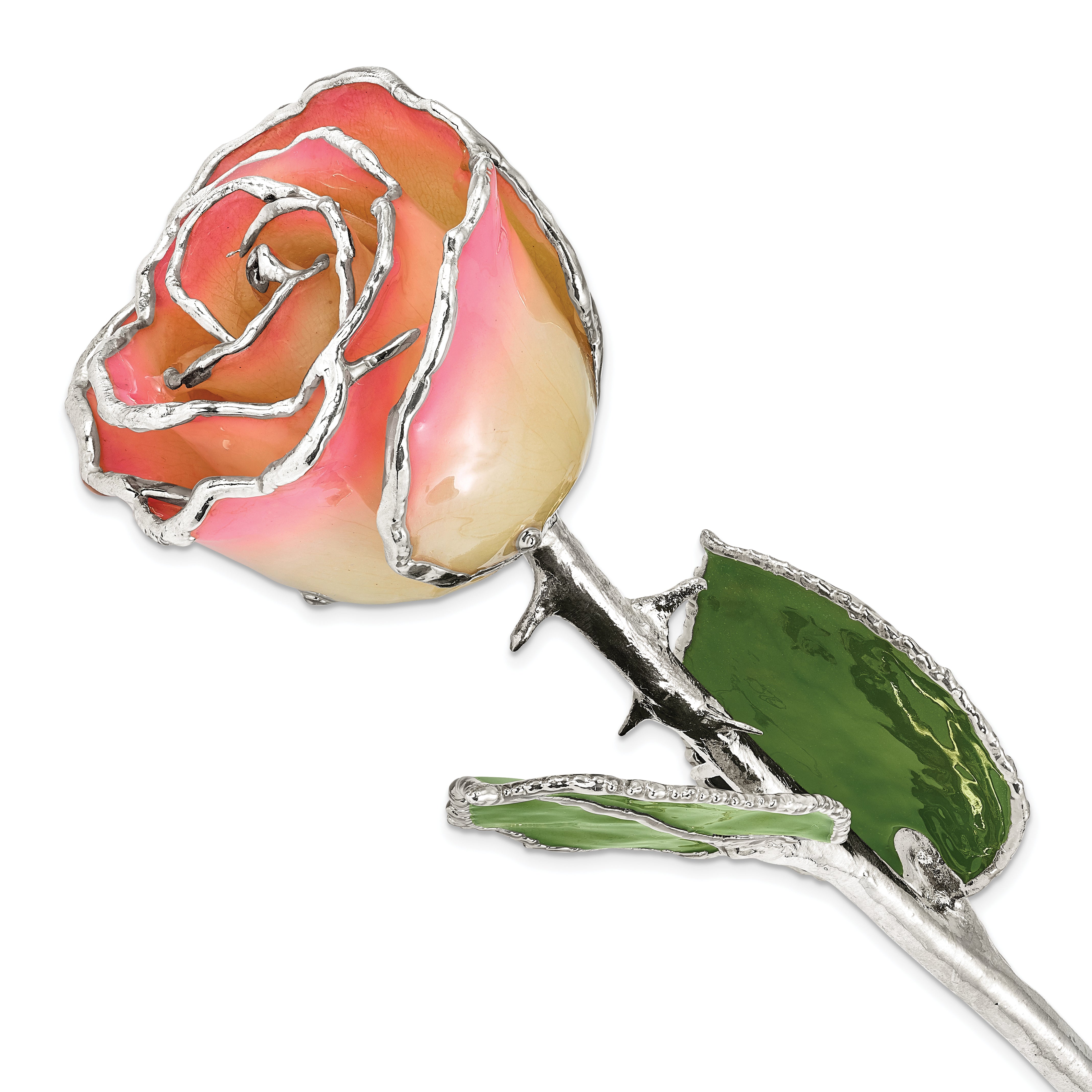 White/Pink Lacquer Dipped Silver Trimmed Real Rose - Sophia Jewelers