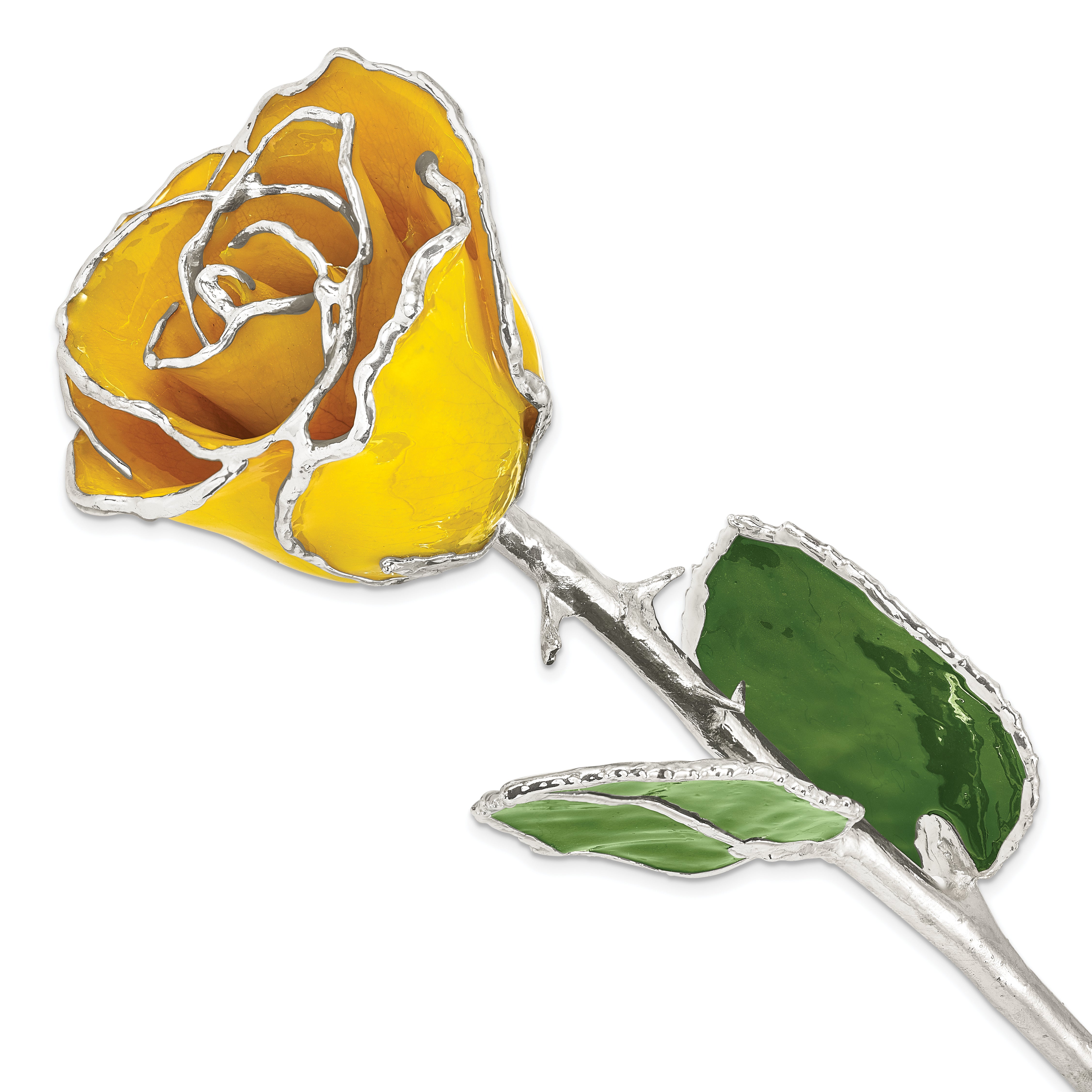 Yellow Lacquer Dipped Silver Trimmed Real Rose - Sophia Jewelers