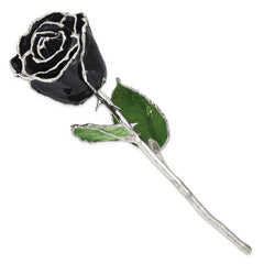 Black Lacquer Dipped Silver Trimmed Real Rose - Sophia Jewelers