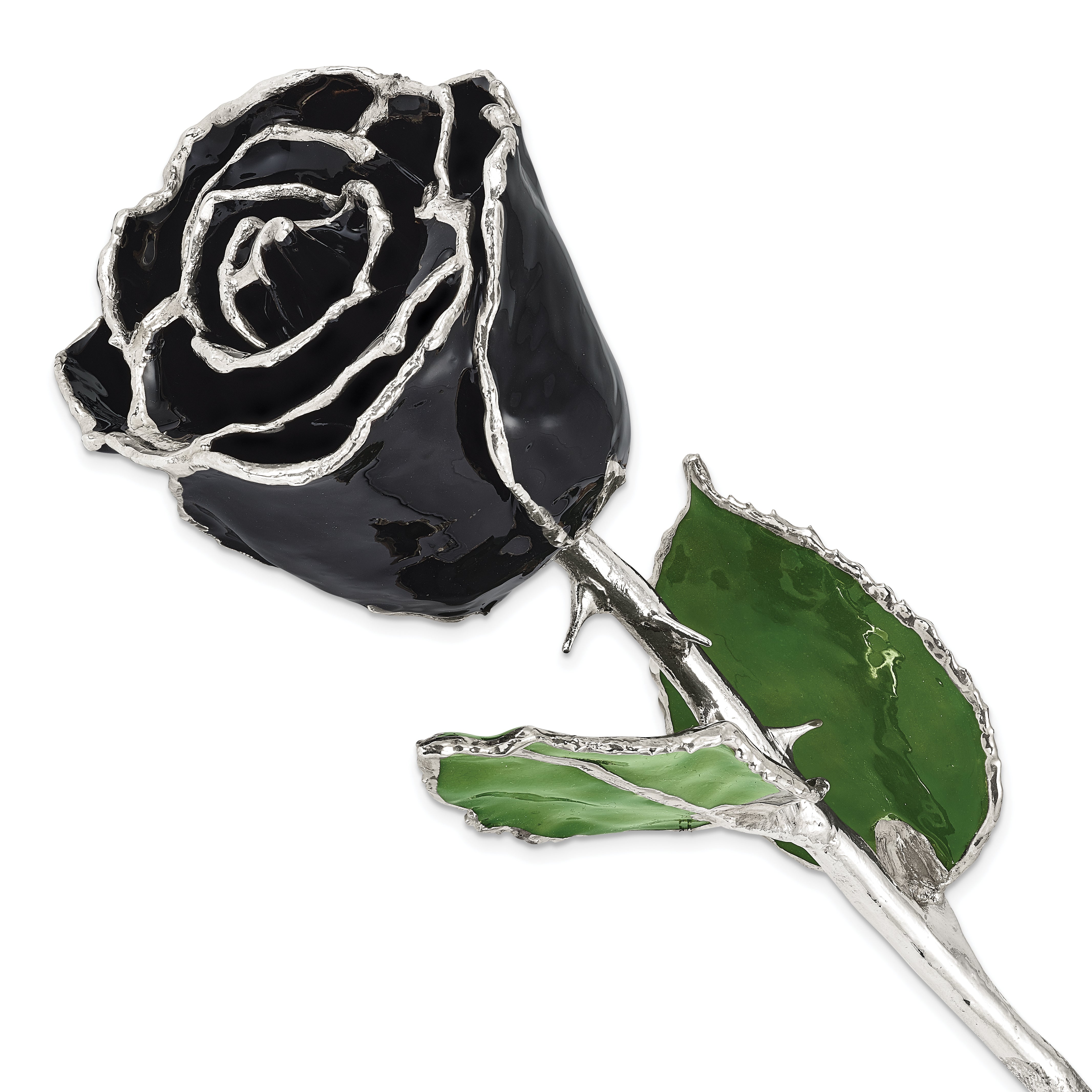 Black Lacquer Dipped Silver Trimmed Real Rose - Sophia Jewelers