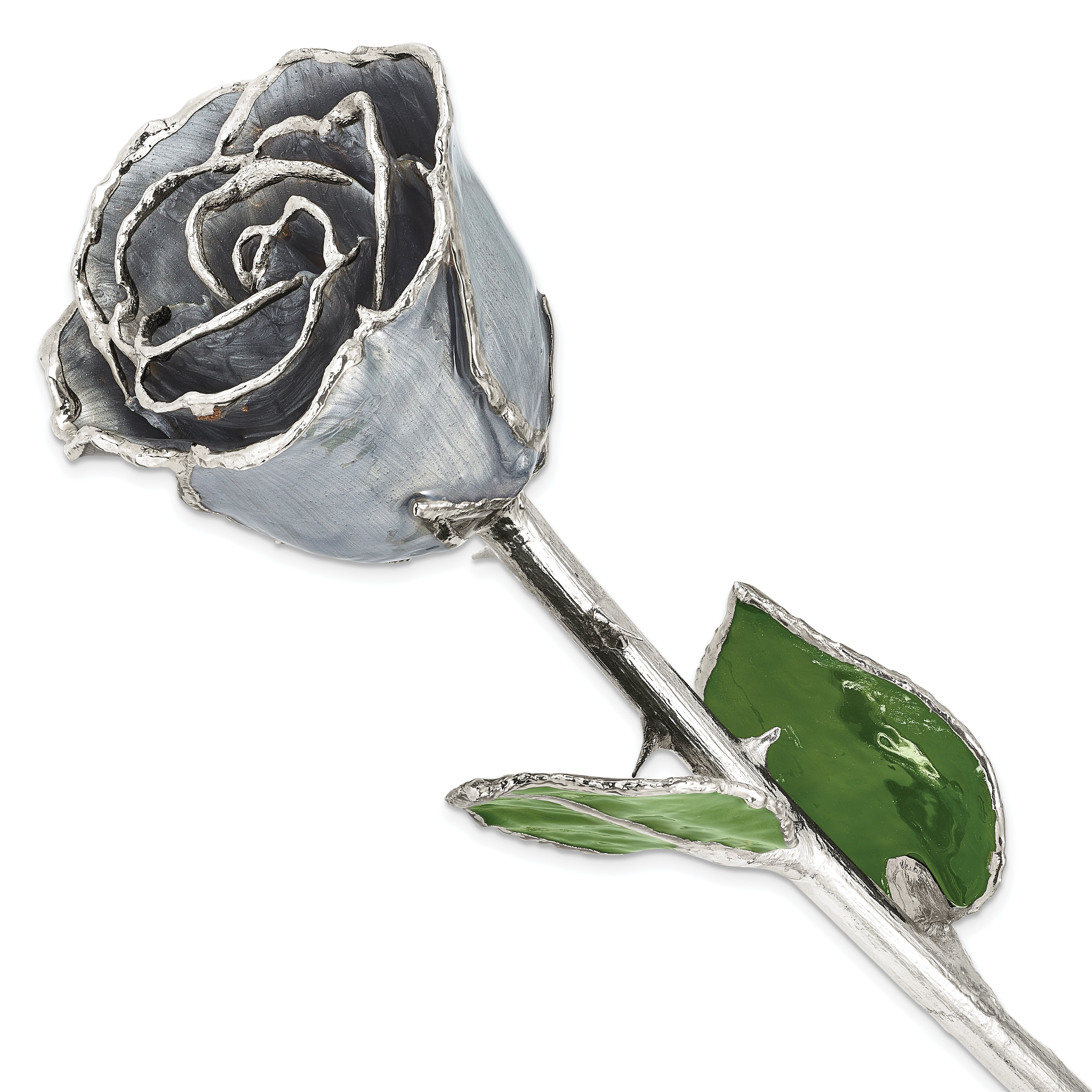 Silver Moonstone Lacquer Dipped Silver Trimmed Real Rose - Sophia Jewelers