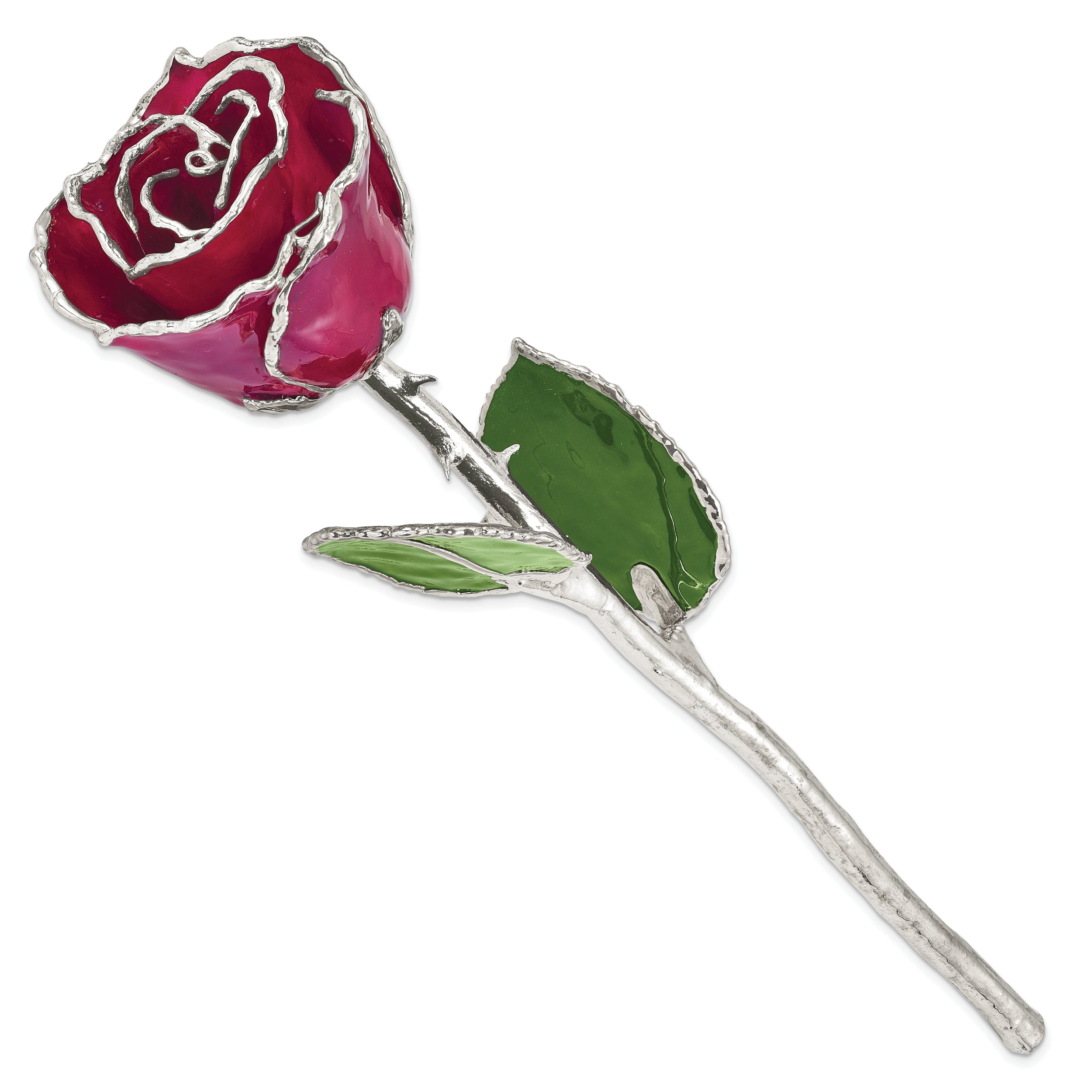 Burgundy Lacquer Dipped Silver Trimmed Real Rose - Sophia Jewelers