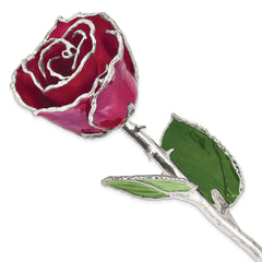 Burgundy Lacquer Dipped Silver Trimmed Real Rose - Sophia Jewelers