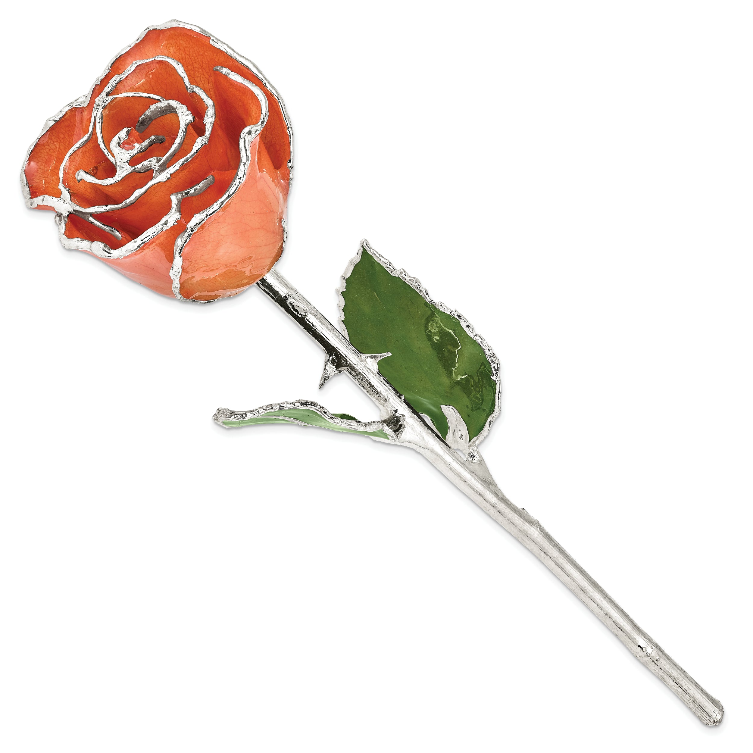 Orange Lacquer Dipped Silver Trimmed Real Rose - Sophia Jewelers