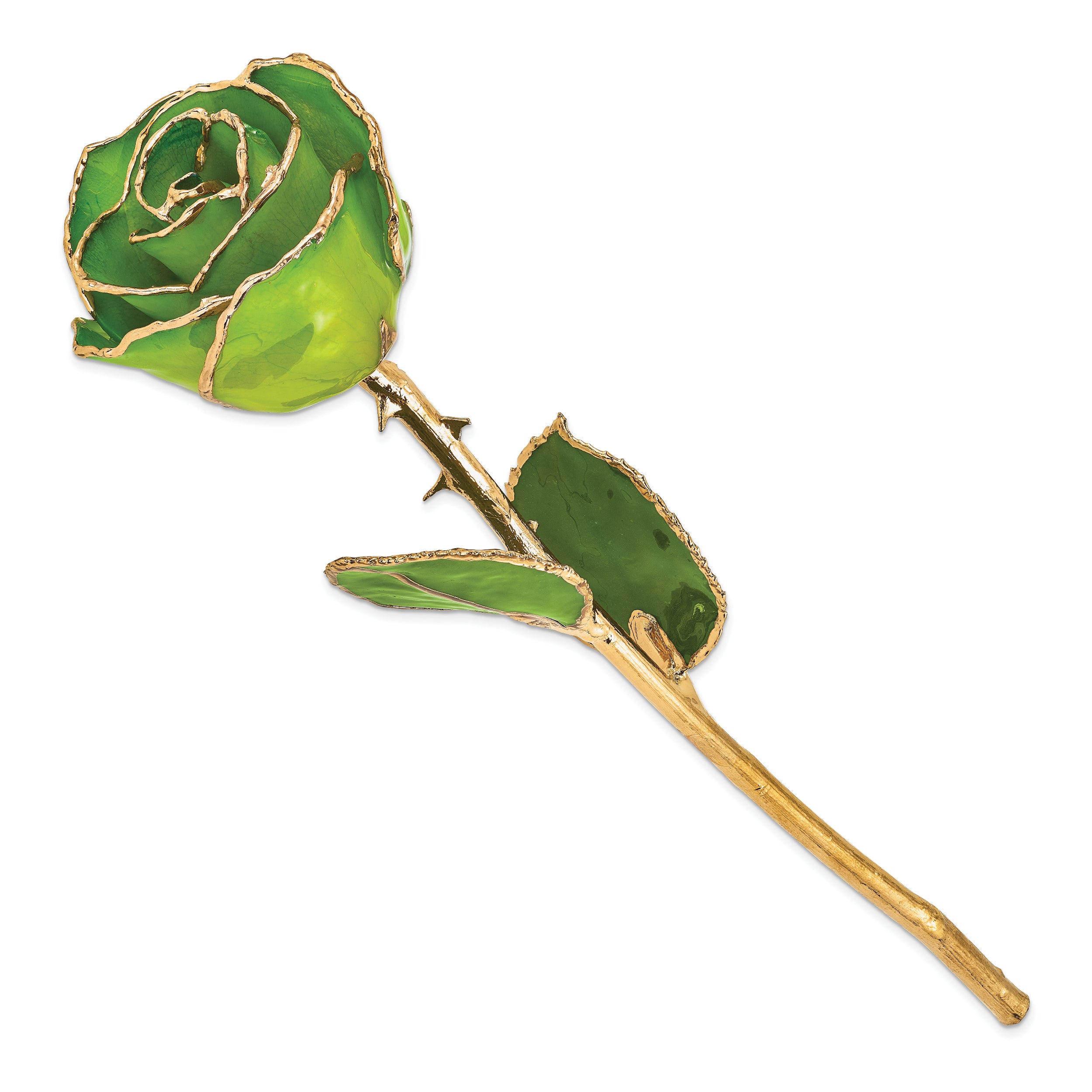 Lacquer Dipped Gold Trimmed Apple Green Real Rose - Sophia Jewelers