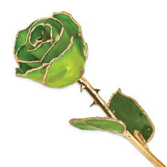 Lacquer Dipped Gold Trimmed Apple Green Real Rose - Sophia Jewelers