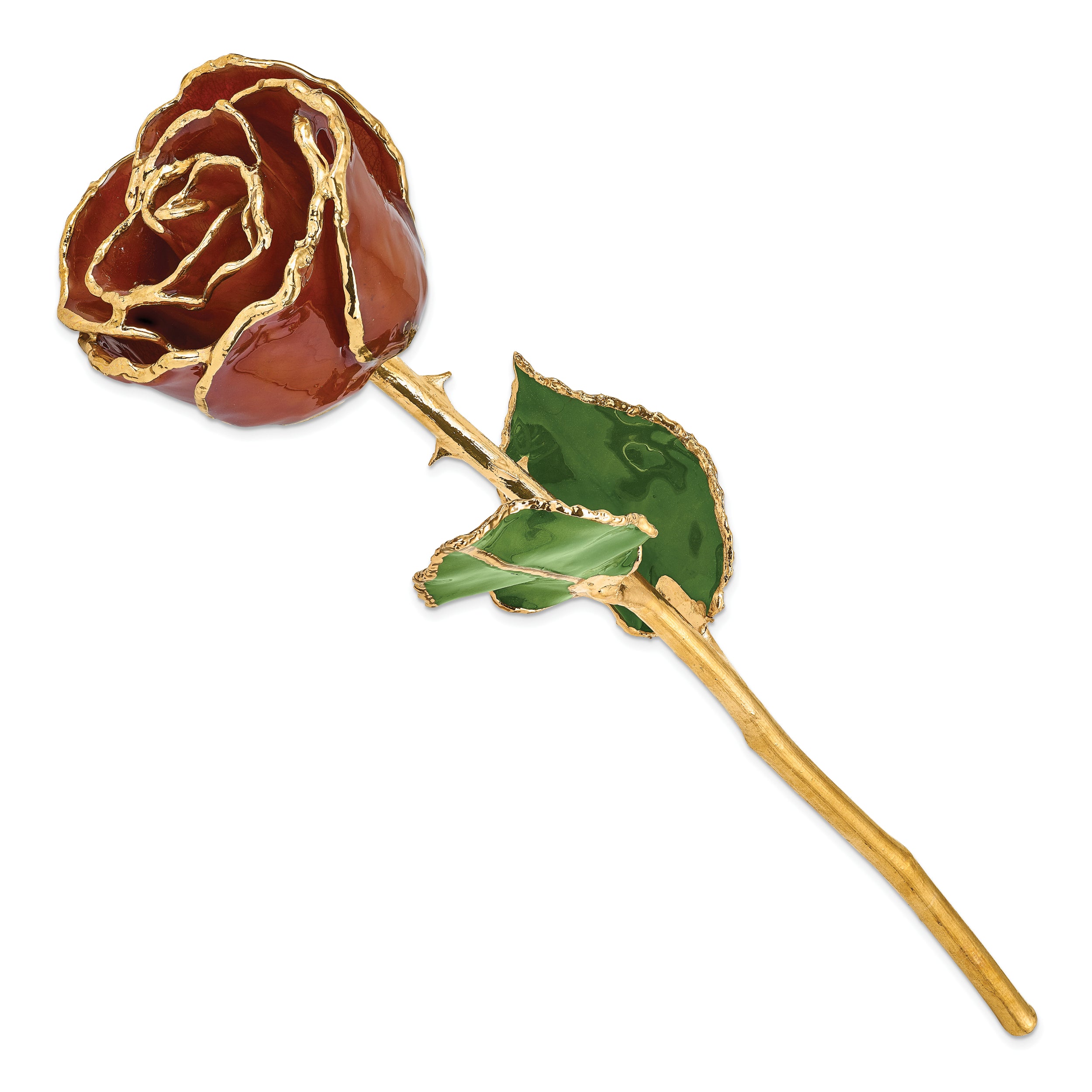 Lacquer Dipped Gold Trimmed Root Beer Real Rose - Sophia Jewelers