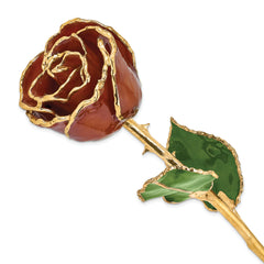 Lacquer Dipped Gold Trimmed Root Beer Real Rose - Sophia Jewelers