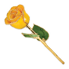 Lacquer Dipped Gold Trimmed Saffron Real Rose - Sophia Jewelers