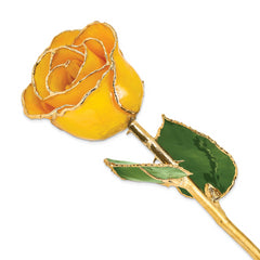 Lacquer Dipped Gold Trimmed Saffron Real Rose - Sophia Jewelers