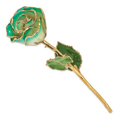 Lacquer Dipped Gold Trimmed White/Turquoise Green Real Rose - Sophia Jewelers