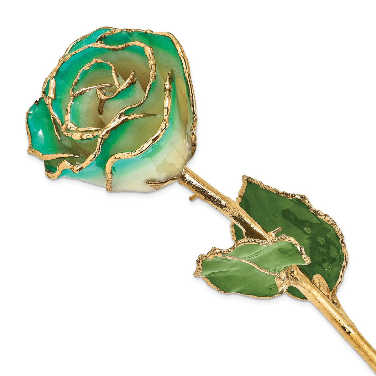 Lacquer Dipped Gold Trimmed White/Turquoise Green Real Rose - Sophia Jewelers