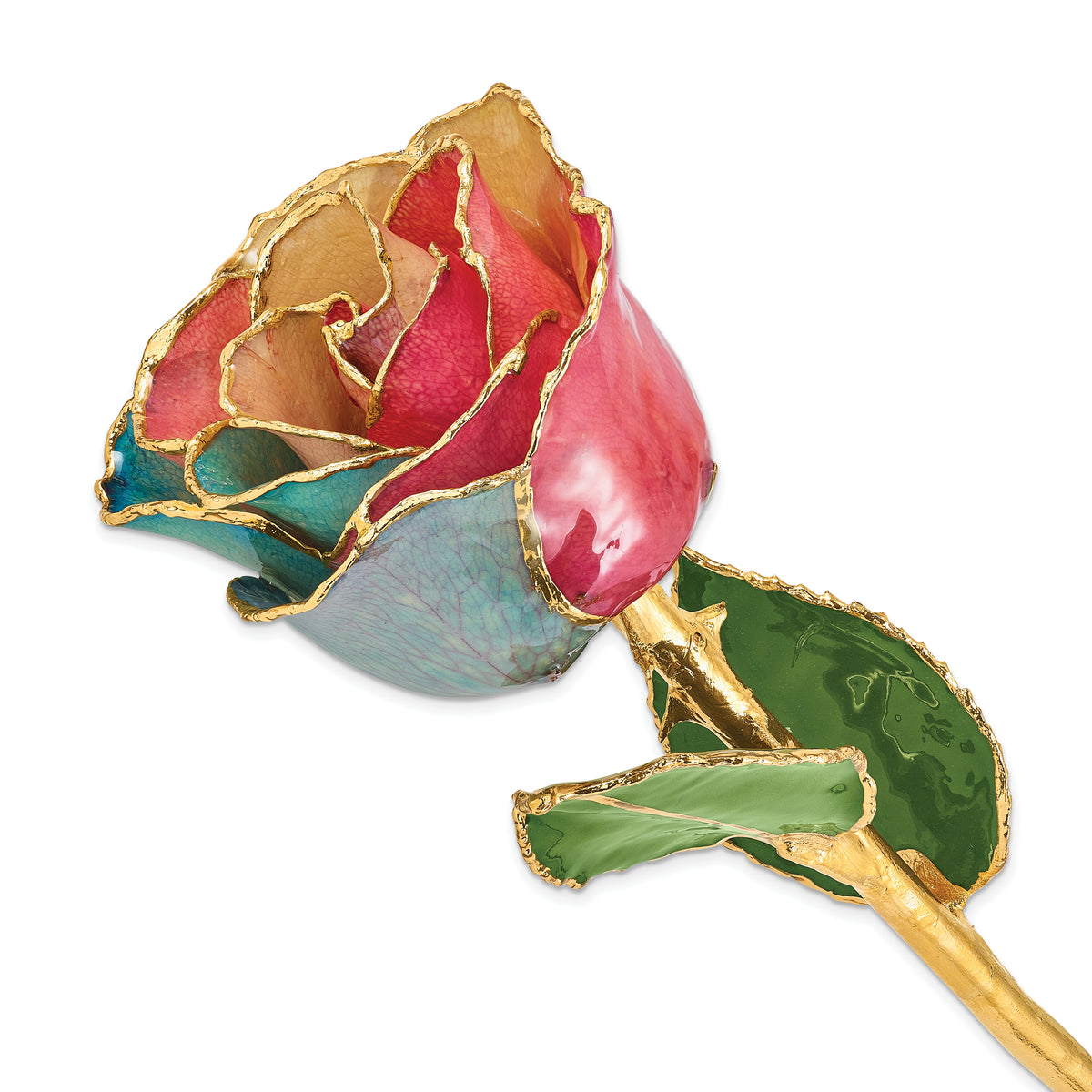 Lacquer Dipped Gold Trimmed Tri-color Real Rose - Sophia Jewelers