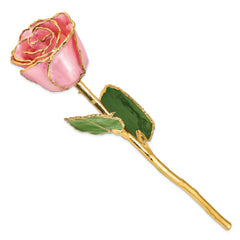 Lacquer Dipped Gold Trimmed Pink Pearl Real Rose - Sophia Jewelers