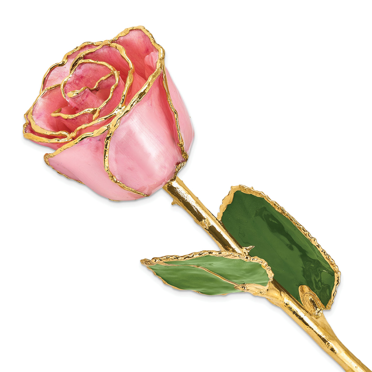 Lacquer Dipped Gold Trimmed Pink Pearl Real Rose - Sophia Jewelers