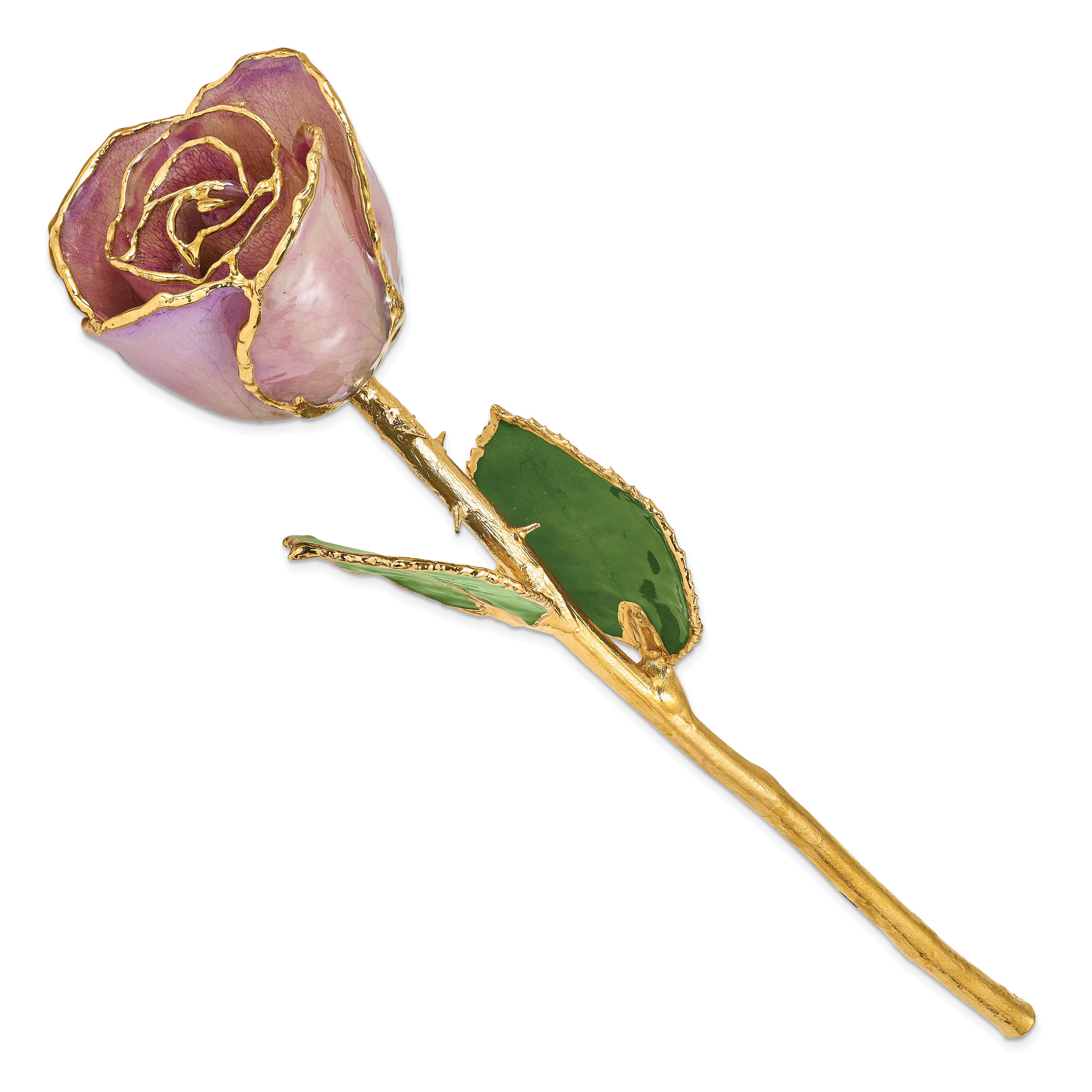 Lacquer Dipped Gold Trimmed Lavender Real Rose - Sophia Jewelers