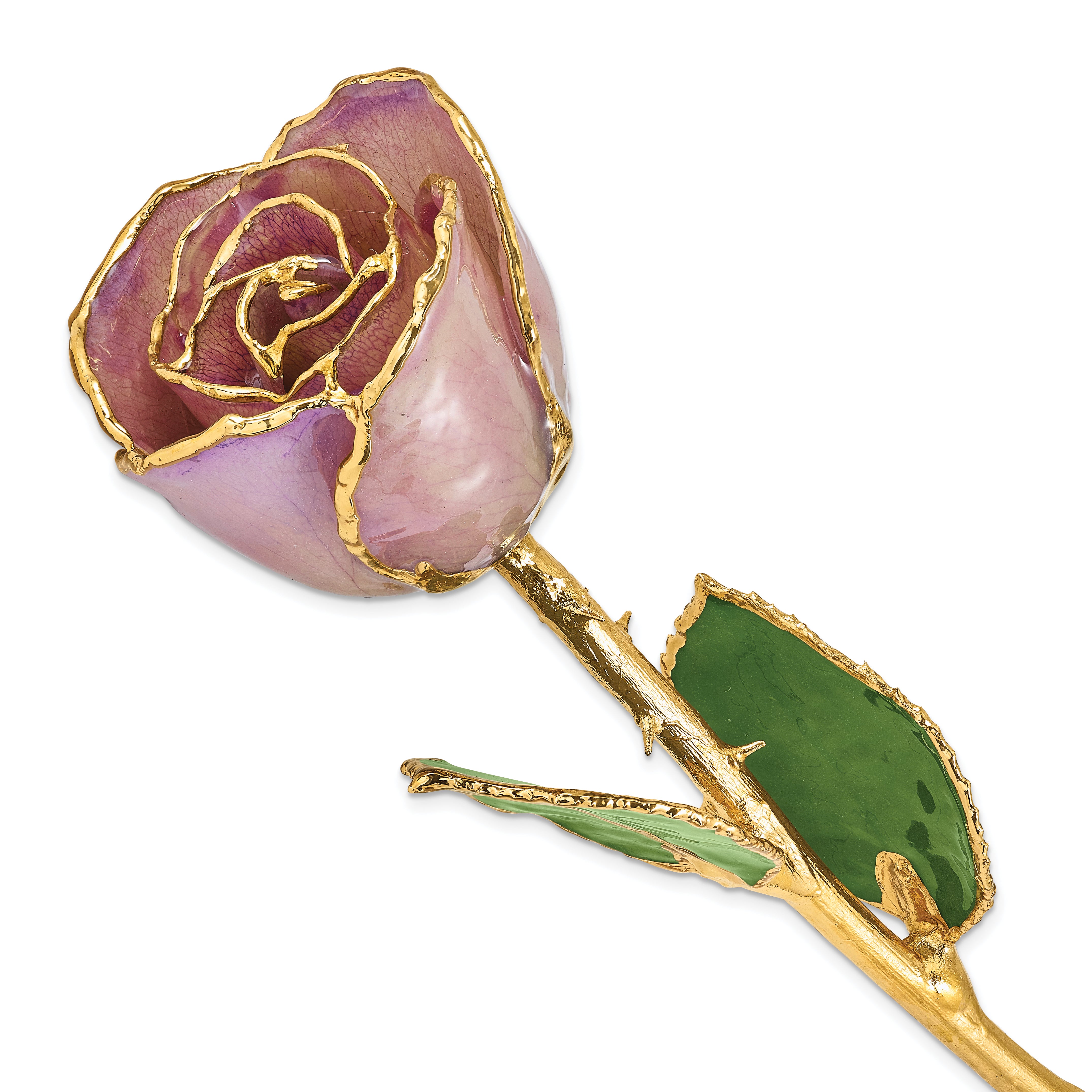 Lacquer Dipped Gold Trimmed Lavender Real Rose - Sophia Jewelers