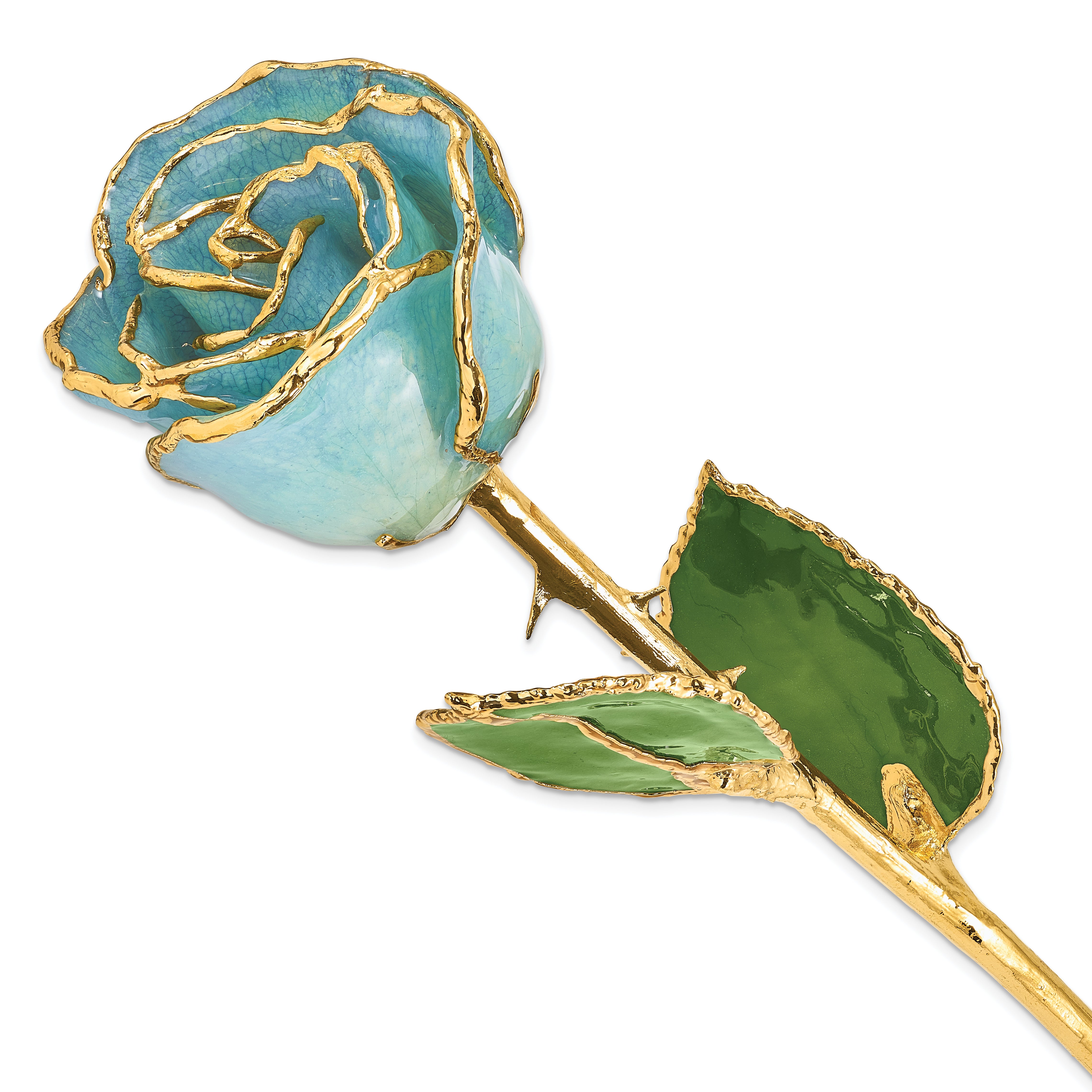 Lacquer Dipped Gold Trimmed Aquamarine Blue Real Rose - Sophia Jewelers