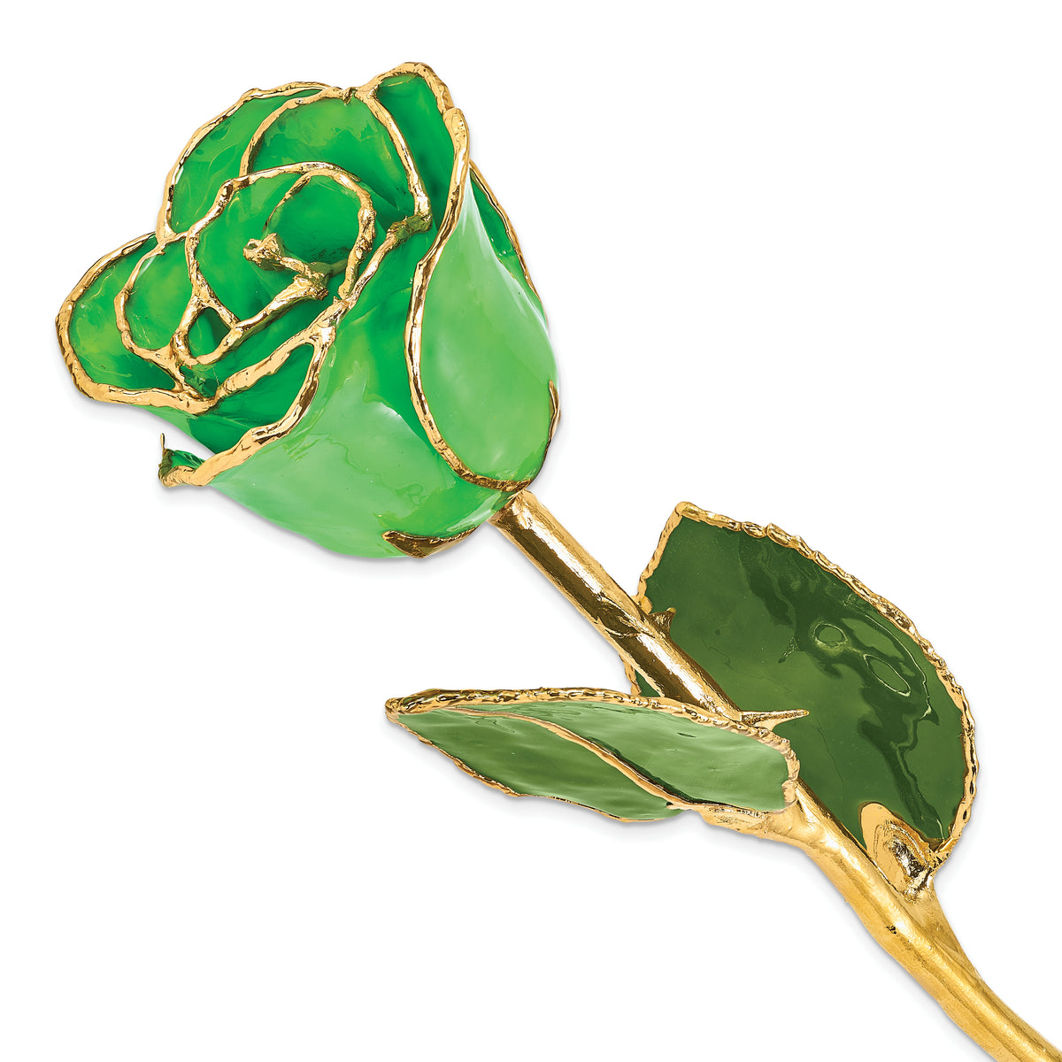 Lacquer Dipped Gold Trimmed Geo Green Real Rose - Sophia Jewelers