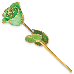 Peridot Green Lacquer Dipped Gold Trimmed with Glitter Real Rose - Sophia Jewelers