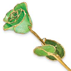 Peridot Green Lacquer Dipped Gold Trimmed with Glitter Real Rose - Sophia Jewelers