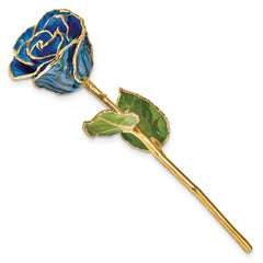 Lacquer Dipped Gold Trimmed Black and Blue Zebra Real Rose - Sophia Jewelers