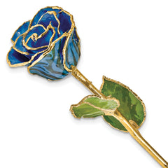 Lacquer Dipped Gold Trimmed Black and Blue Zebra Real Rose - Sophia Jewelers