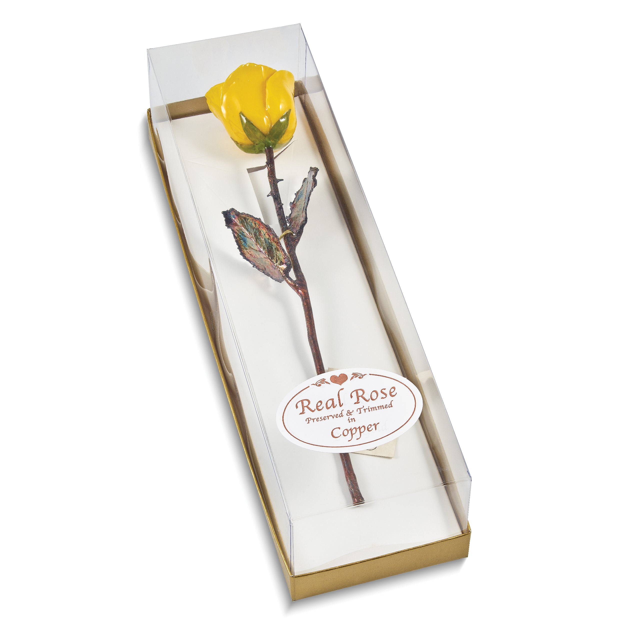 Yellow Lacquer Dipped Copper Trimmed Real Rose - Sophia Jewelers