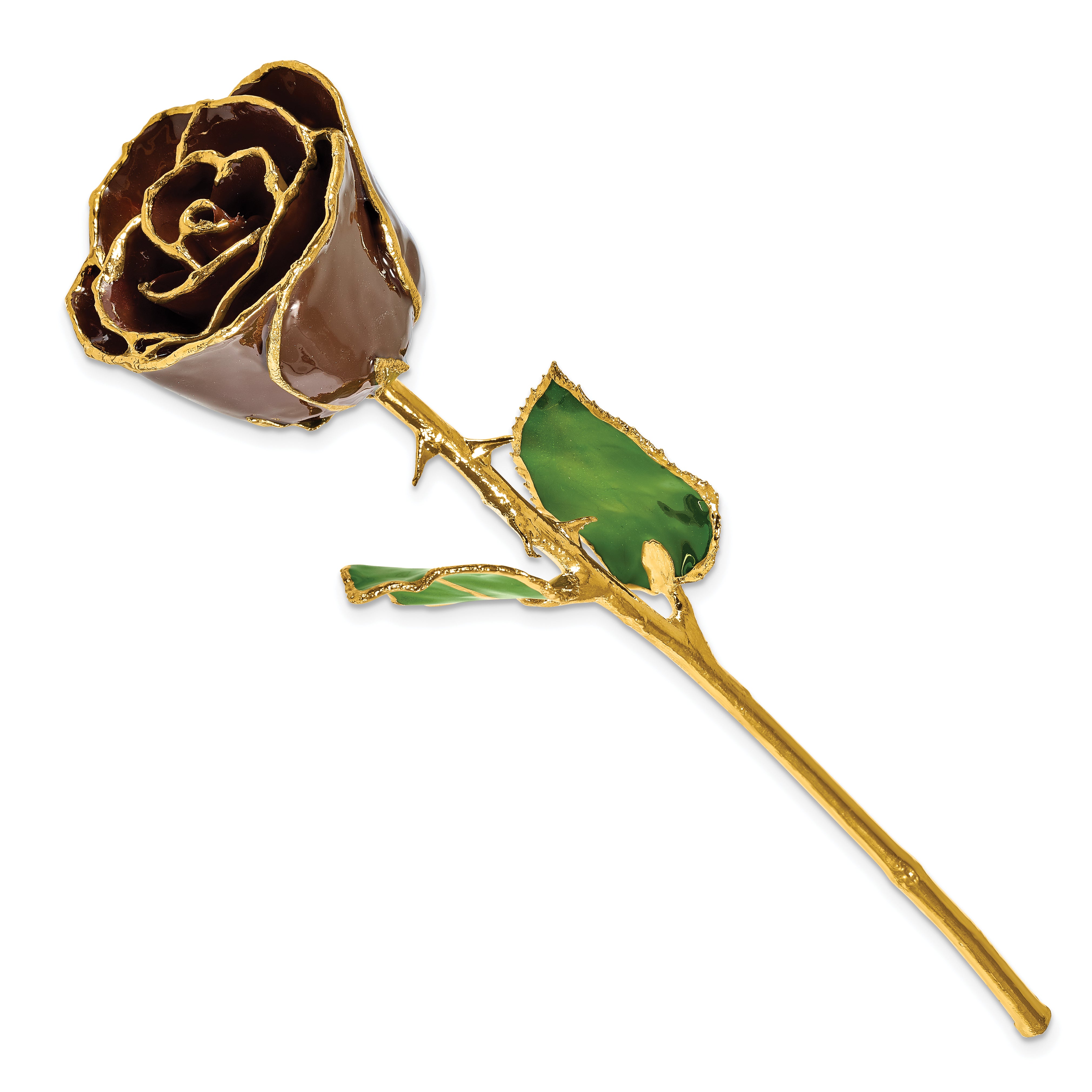 Lacquer Dipped Gold Trim Chocolate Brown Rose - Sophia Jewelers