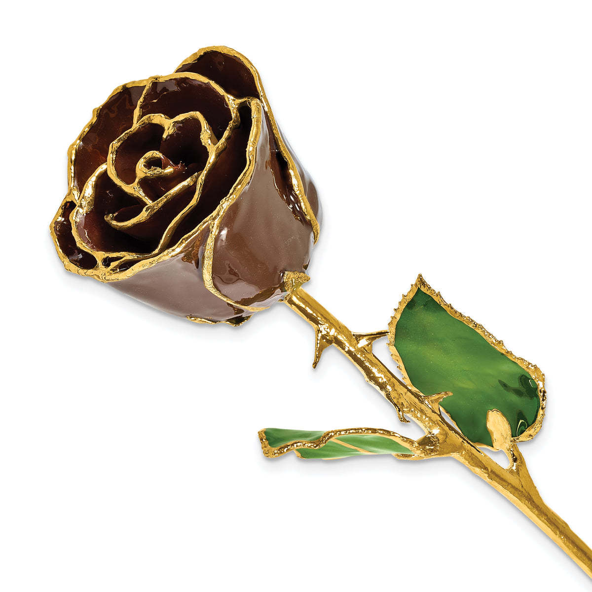 Lacquer Dipped Gold Trim Chocolate Brown Rose - Sophia Jewelers