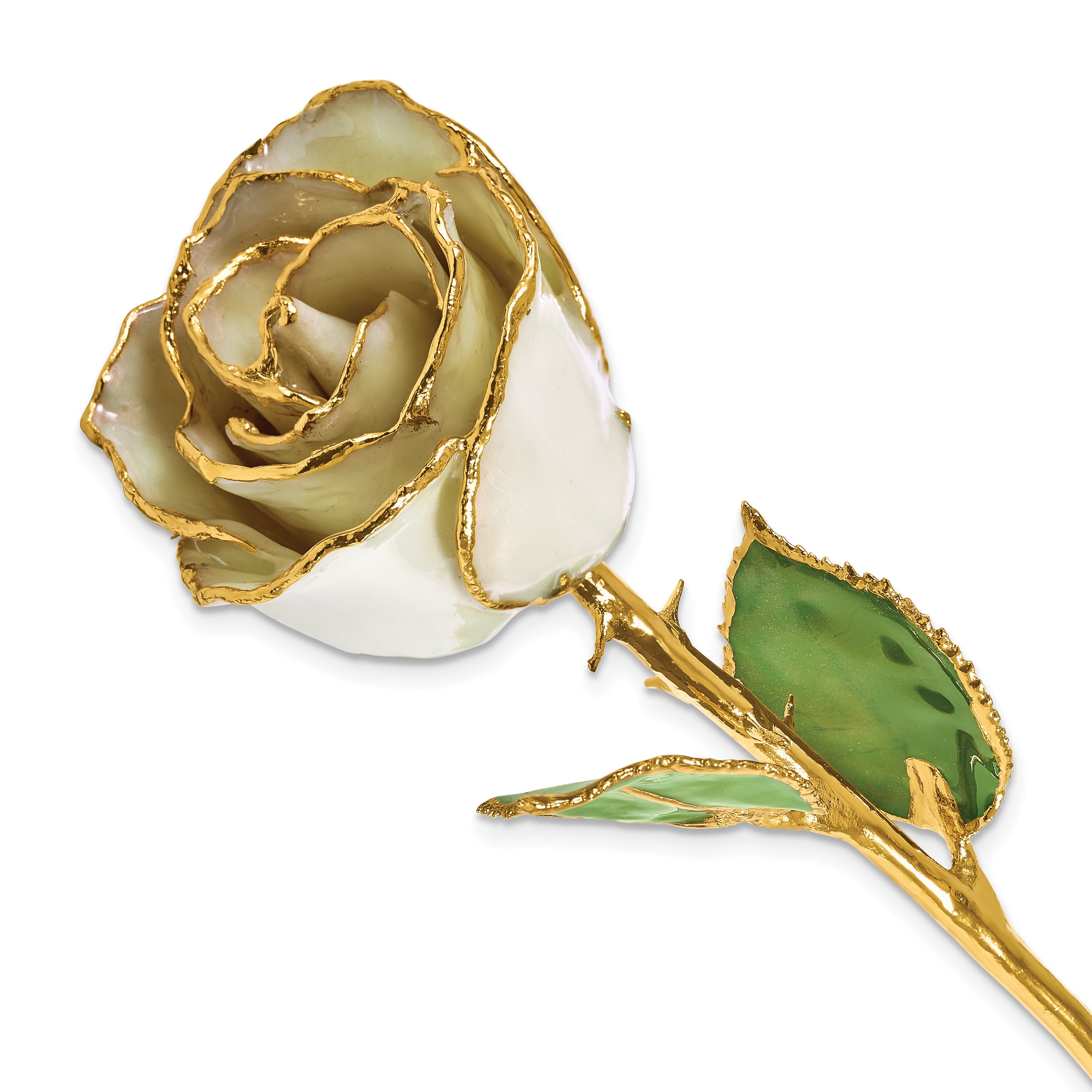 Lacquer Dipped Gold Trim June Birthstone Opal Pearl Rose - Sophia Jewelers