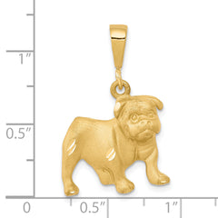 10k Dog Charm