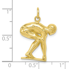 10k Swimmer/diver Charm