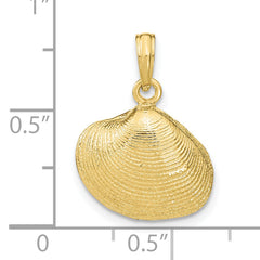 10K Medium Clam Shell Pendant