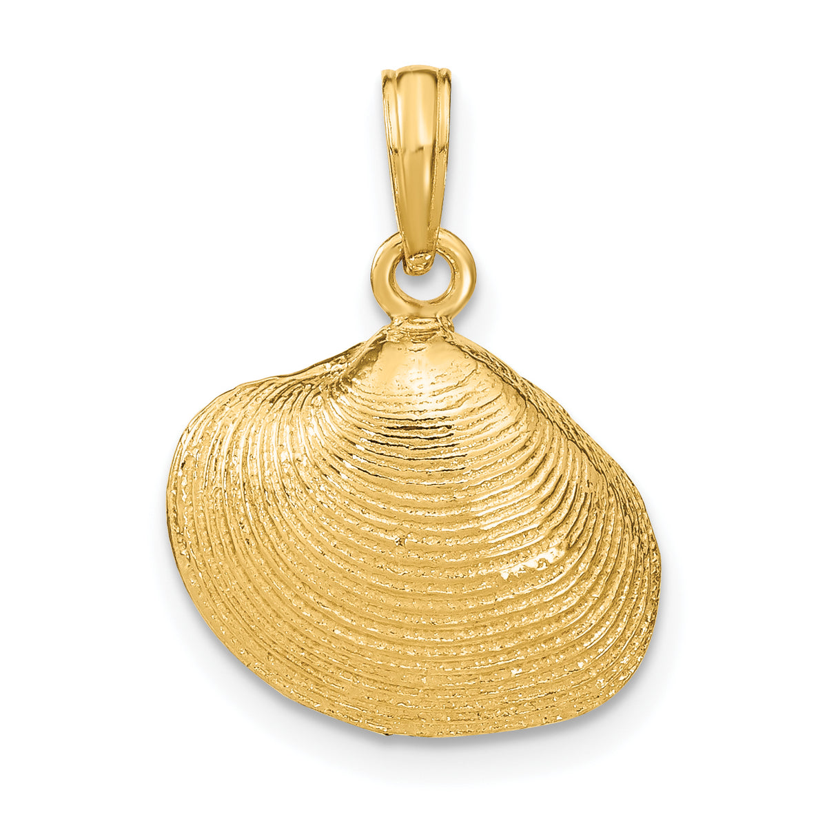 10K Medium Clam Shell Pendant