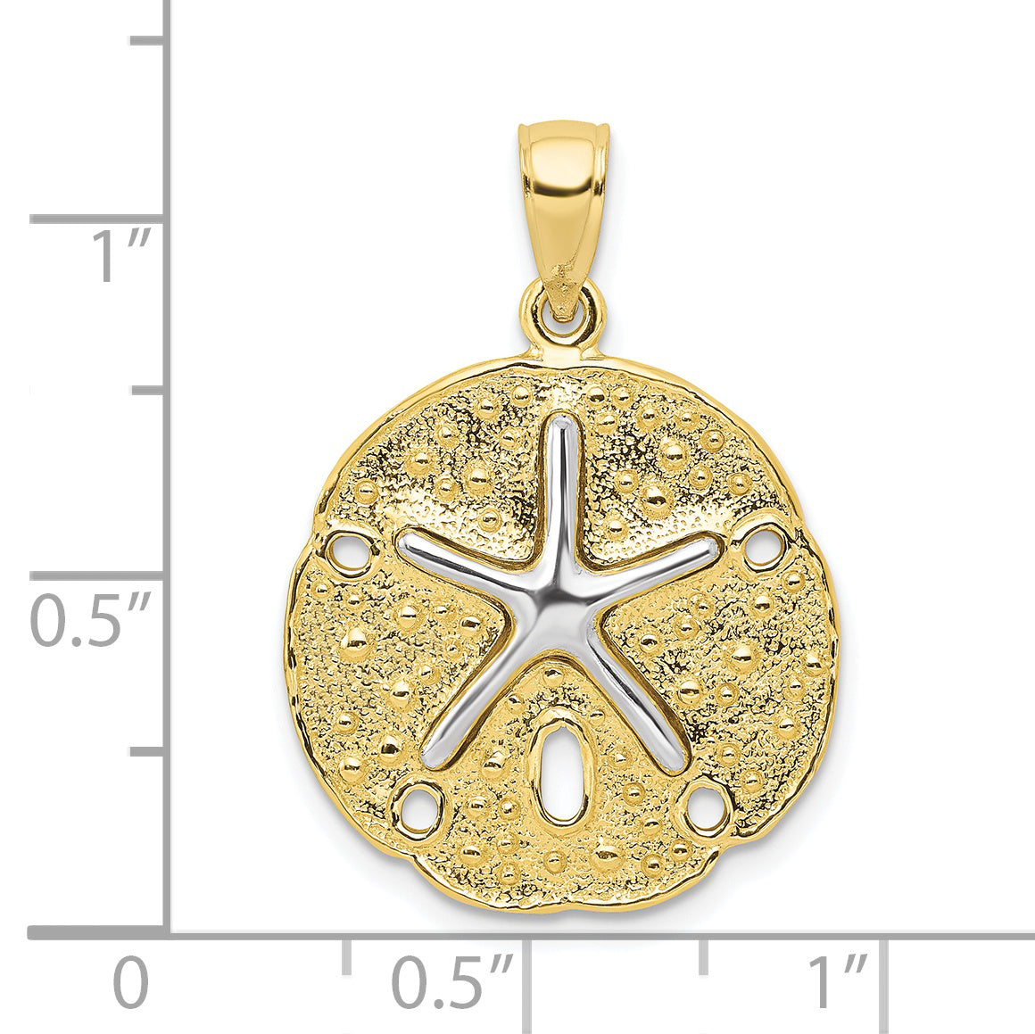 10k Two Tone Sand Dollar w/ Starfish Pendant