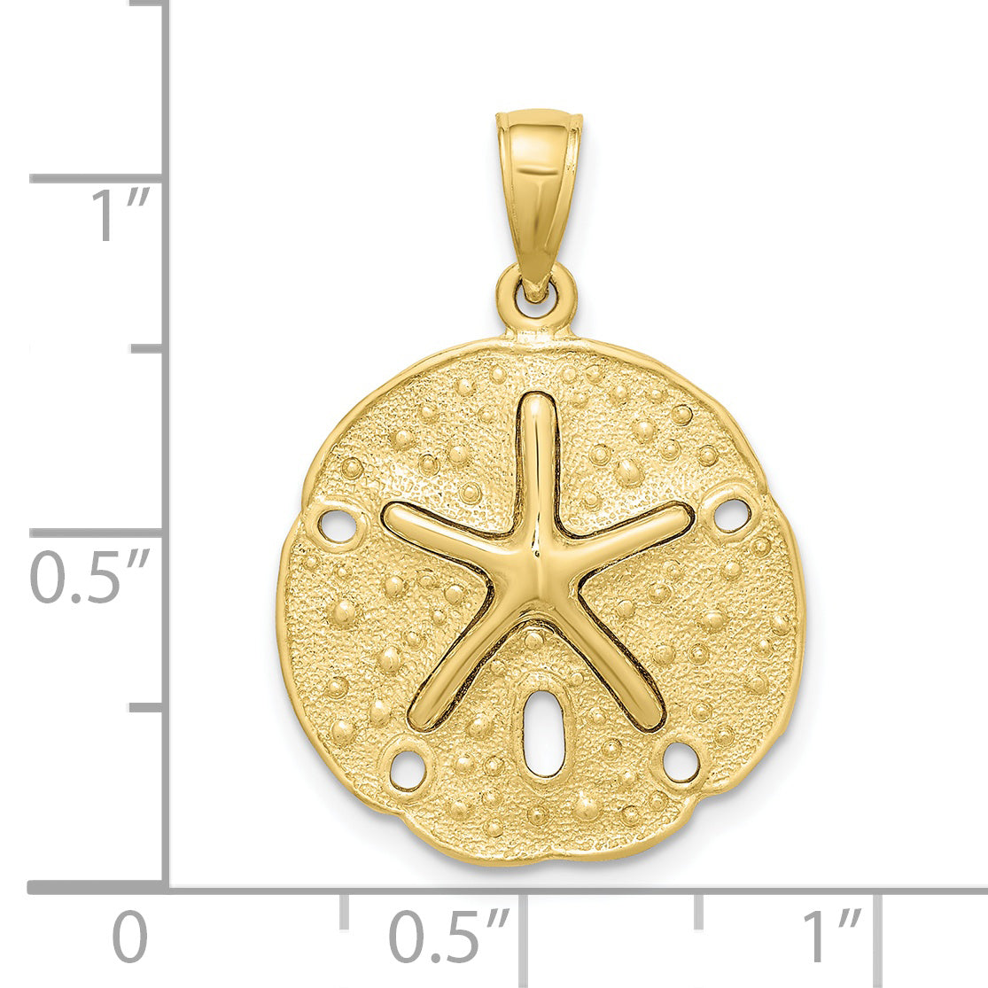 10K Sand Dollar w/ Starfish Charm